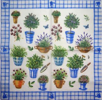 037 Kräuter - 3-ply (blue)